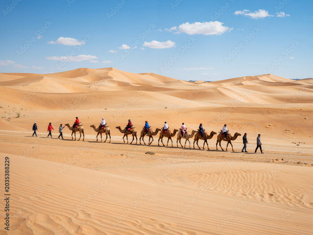 Fototapeta premium Camel Caravan in Desert Dunes on Sunny Day
