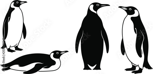 Fotografi Penguin Silhouettes Antarctic Birds in Various Poses, Standing and Swimming for