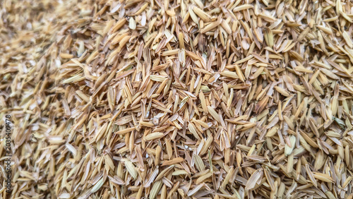 Dry yellow rice husk texture background close up. Perfect for concepts of biomass energy, organic farming mulch, animal feed industry, agriculture research, or textured natural backgrounds.