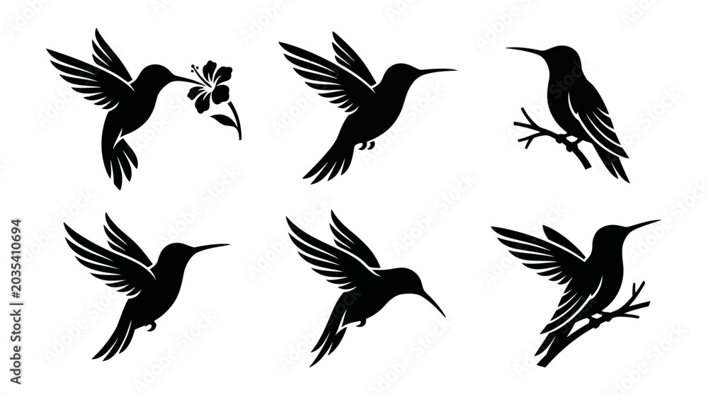 Obraz premium different black hummingbird silhouettes on a clean white background, minimalist vector style.