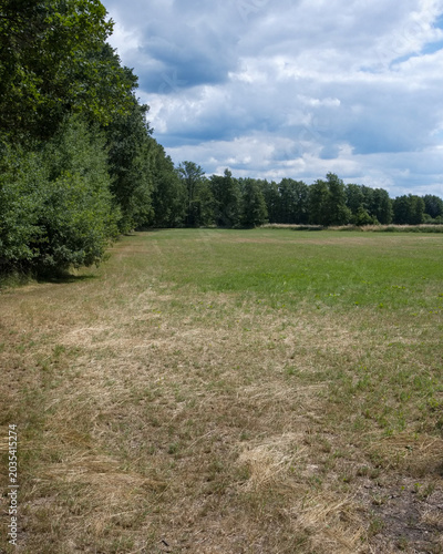 Wide open field surrounded by trees in a rural area under a cloudy sky in summer