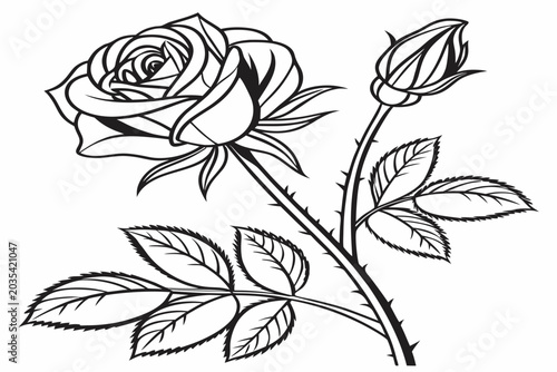 coloring page line art the ice rose flower black vector