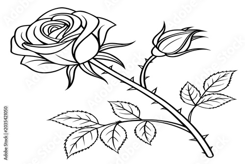 coloring page line art the ice rose flower black vector