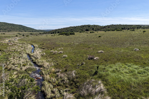 Aerial view of a winding stream flowing through the vast green savanna plains and rolling hills under a clear blue sky in Waterberg District Municipality, Limpopo, South Africa.