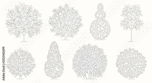 collection of stylized line drawings of various trees and bushes for landscape design