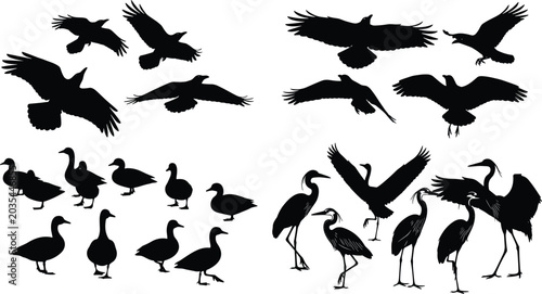 Tableau sur toile Set of Black Bird Silhouettes Featuring Crows Herons and Ducks in Various Flying