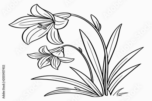coloring page line art the yellow archangel flower black vector