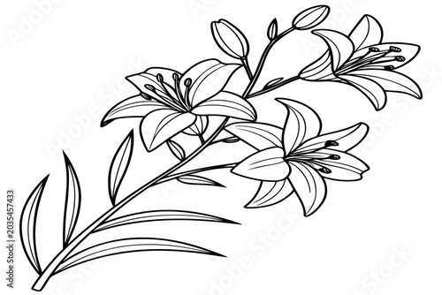 coloring page line art the yellow archangel flower black vector