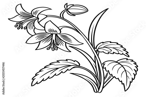 coloring page line art the yellow archangel flower black vector