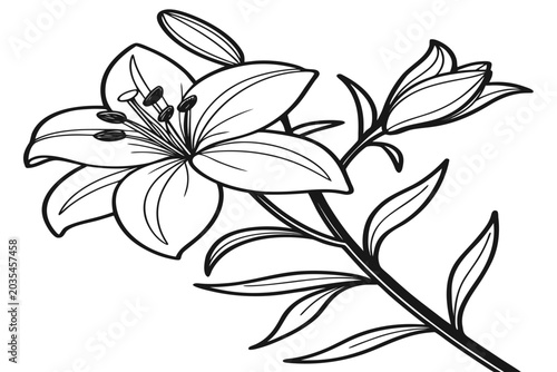 coloring page line art the yellow archangel flower black vector