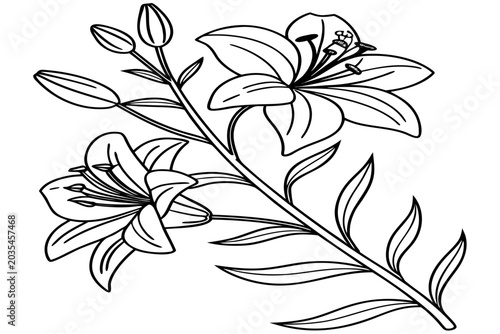 coloring page line art the yellow archangel flower black vector