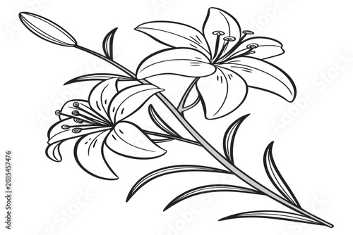 coloring page line art the yellow archangel flower black vector