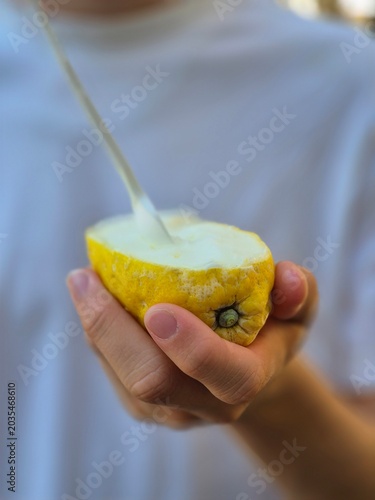 hand holding a slice of lemo with ice cream 