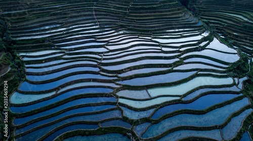Aerial view of rice terraces at blue hour