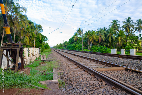 Railway tracks through tropical coconut palms under cloudy sky, perfect for travel, transportation, tourism, infrastructure, rural landscape, adventure, and scenic background use.