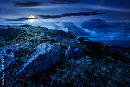 Photography carpathian mountain summer landscape at night