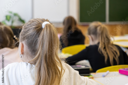 Принти на полотні Elementary school children sitting at desks in a classroom, focusing on learning
