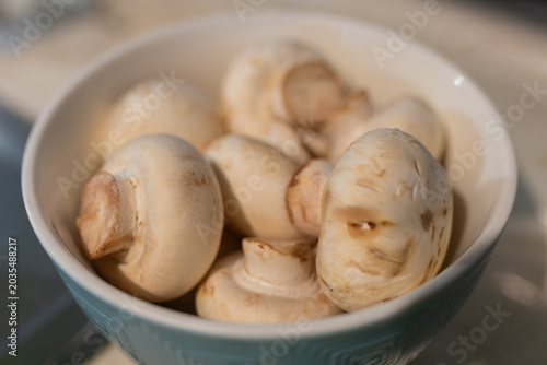 champiñones 