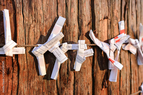 Obraz na plátně hanging tied of bad luck predict fortune paper ( Omikuji ) on wire at  Akama Shinto shrine in Shimonoseki