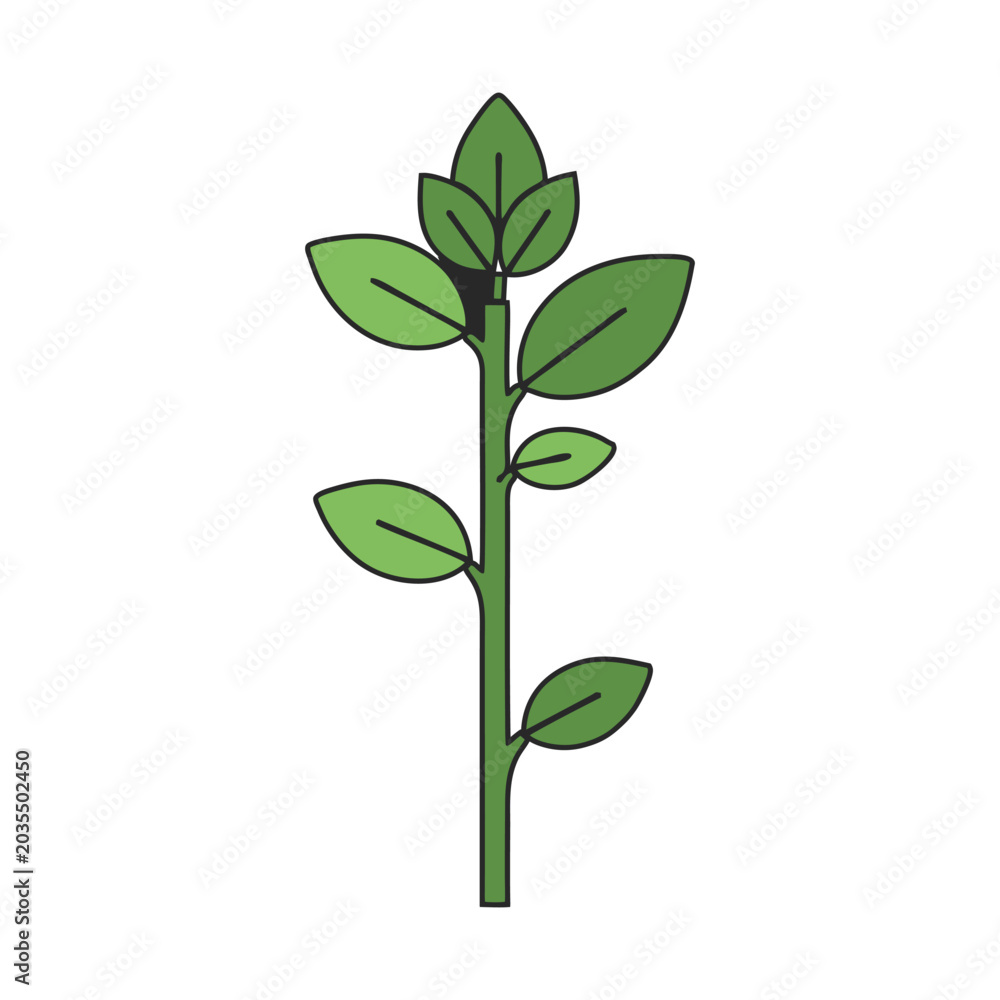 Fototapeta premium Green Plant Stem Vector