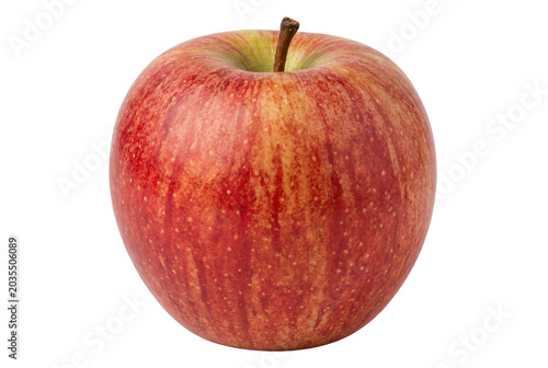 Fresh Red and Yellow Gala Apple with Stem Isolated