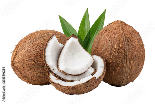 Tropical Coconut Fruit Whole and Half with Green Palm Leaves