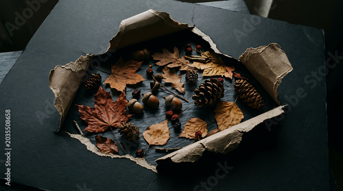 Autumn leaves and pinecones on black background