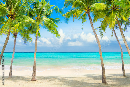 Beach with palm trees washed by the sea. Tropical island with a view of the blue ocean and the sky in clouds