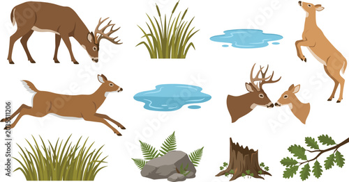 Fotografie Wild Deer and Forest Nature Collection Featuring Grazing Deer, Woodland Landscap