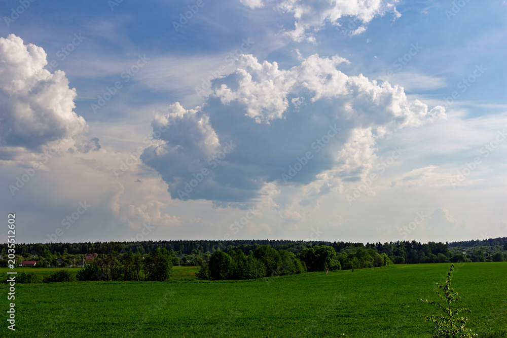 Obraz premium Fluffy white cumulus clouds drifting across a vast blue sky above a vibrant green meadow and a distant tree line, capturing a serene summer afternoon in the countryside