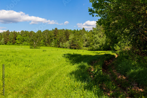 Foto Shadowed dirt firebreak running along the edge of a lush green meadow, bordered