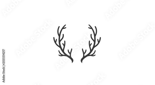 Photos Antlers on a white background.
