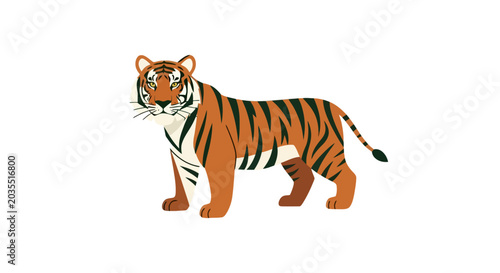 Tiger standing in orange and black.