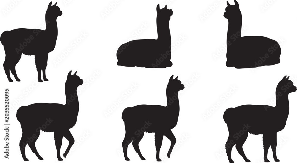 Naklejka premium Alpaca and llama animal silhouette collection showing different poses for wildlife farming and nature designs.