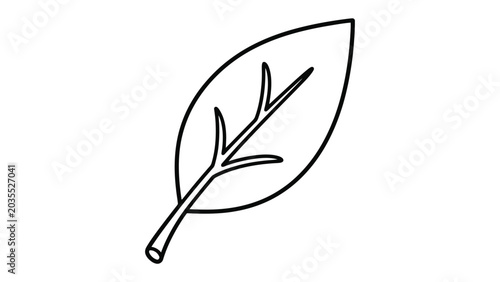 Slika na platnu Outline drawing of a leaf with veins line art black and whit
