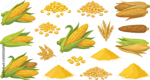 Foto Agriculture Grain and Sweet Corn Vector Illustration Kit with Mature Maize Cobs