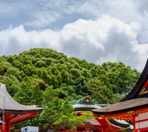 Traditional Shinto Shrine Roofs and Forested Hill in Kyoto