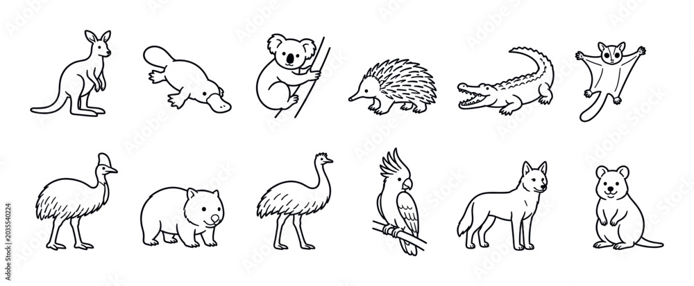 Obraz premium Kangaroo platypus koala echidna crocodile sugar glider cassowary wombat emu cockatoo dingo quokka Australian animals vector illustration set