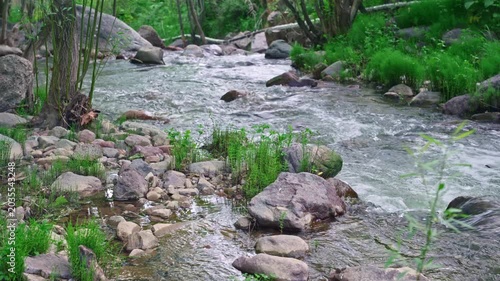 Wide static view of mountain river flowing through forest landscape with rocks, green vegetation, and clear water in natural outdoor scene.