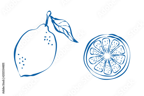 Bilde på lerret Hand Drawn Lemon Fruit and Citrus Slice Illustration in Minimal Line Art Style