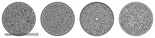 Фотография Round labyrinth circles featuring organic reaction diffusion and maze patterns