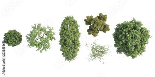 Foto Set of various green trees seen from above for architectural landscape design an