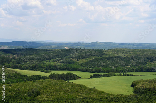 lush green farm land in the spring. rural wheat field surrounded by forests. tractor tracks in the crop. lush green hills. blue sky and white clouds. panoramic landscape image.