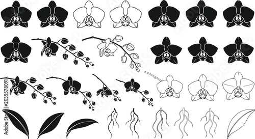 Orchid Flower Vector Design Element Set with Black and White Silhouette Stencil Symbols of Phalaenopsis Blossoms, Blooming Branches, Tropical Leaves, and Roots