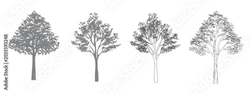 Minimal style CAD tree silhouette, trees elements outline symbol for architecture landscape design drawing. Tree Grunge vector, view, set of section wetland.