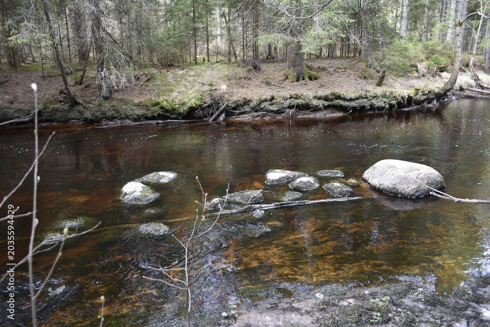 Fototapeta premium Serene forest river with smooth stones and reflections in water 