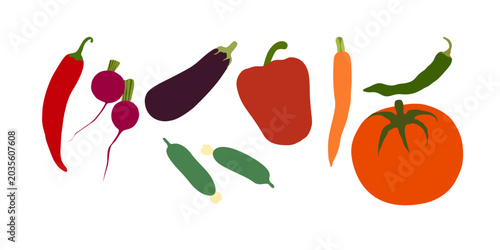 Vegetable Elements Set Flat Design with Pepper, Cucumber, Eggplant, Radish, Tomato and Carrot