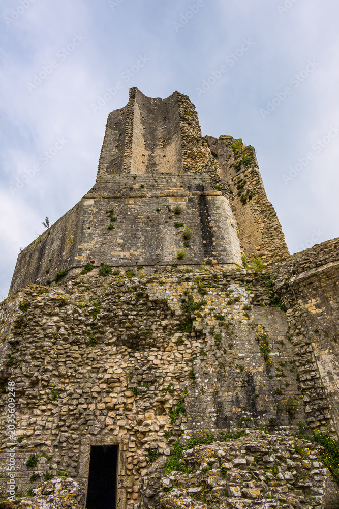 Fototapeta premium La Tour Magne de Nîmes dans le Gard en France