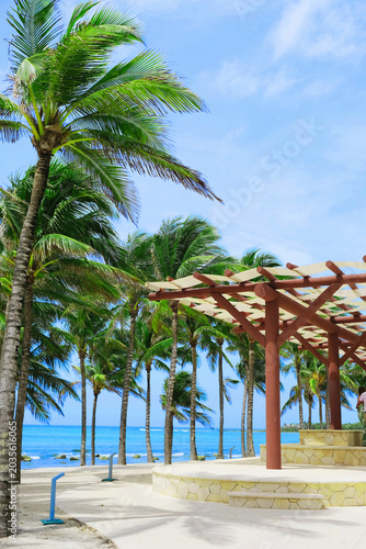 Tropical beach with palm trees and wooden pergola.