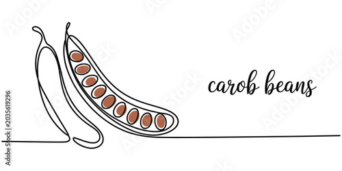 Foto Carob beans vector illustration